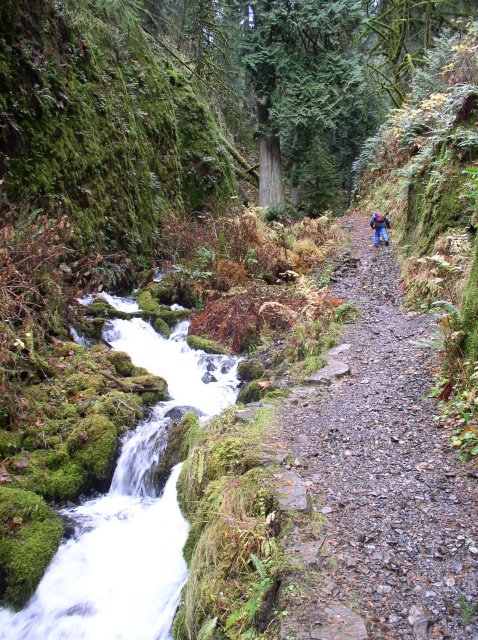 Waukeena Mult Falls 11.26.05 022 